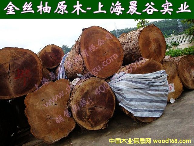 柚木的詳細(xì)介紹