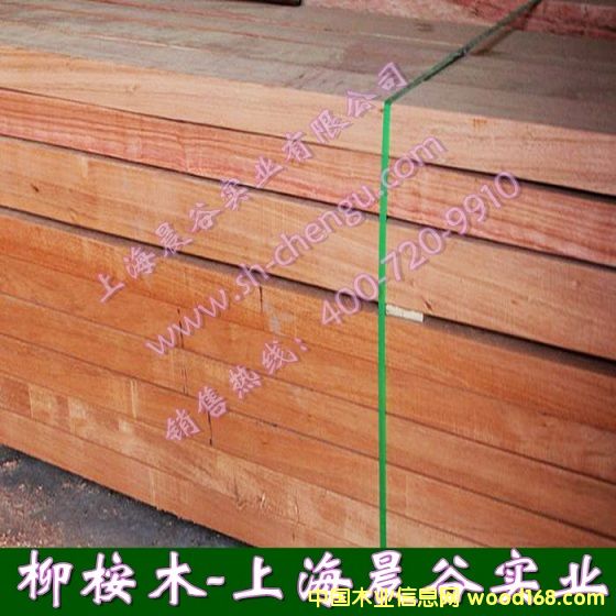 柳桉的詳細(xì)介紹