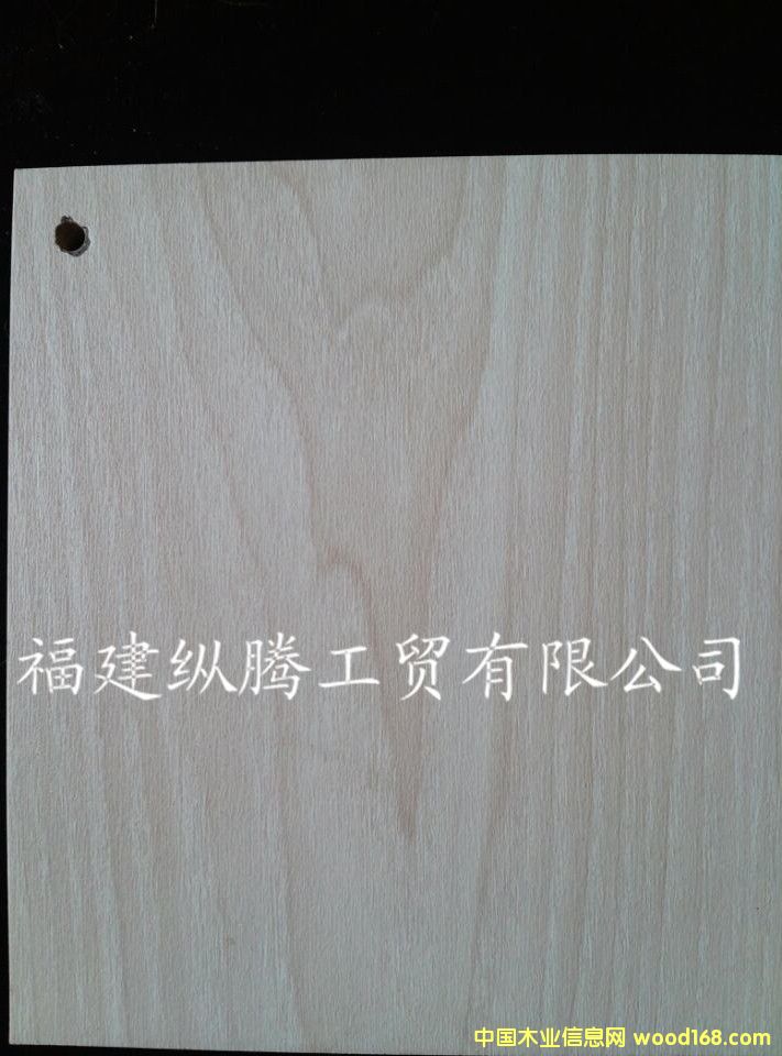 (sh)ľ(f)ϵذZS102