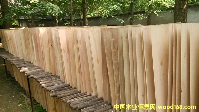 桉樹單板 桉樹單板