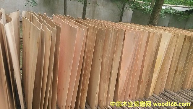 進口桉樹單板 進口桉樹單板