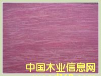 南美紫心木 南美紫心木