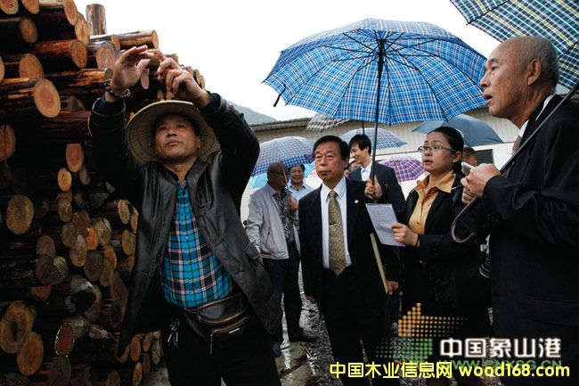 ձѺL(wn)F(tun)ɽľNЈ(chng)