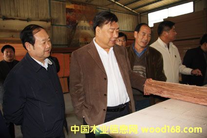 ɭF(tun)쿴ShƼľNЈ(chng)