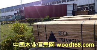白襐的詳細介紹