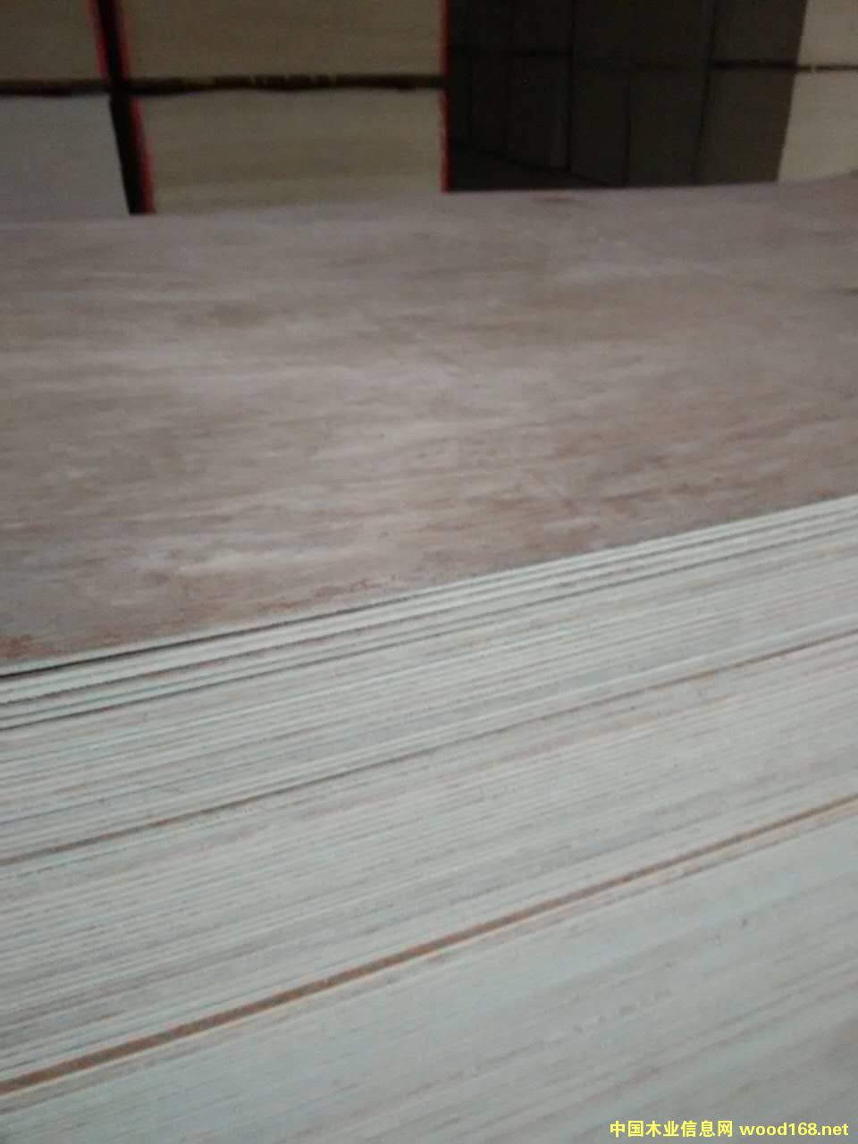 [] zϰSҼֱNh(hun)zE0eҾ߰壬b