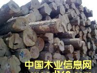 灆ǾGоľMڈP(gun)-ϺۼtľMڈP(gun)˾