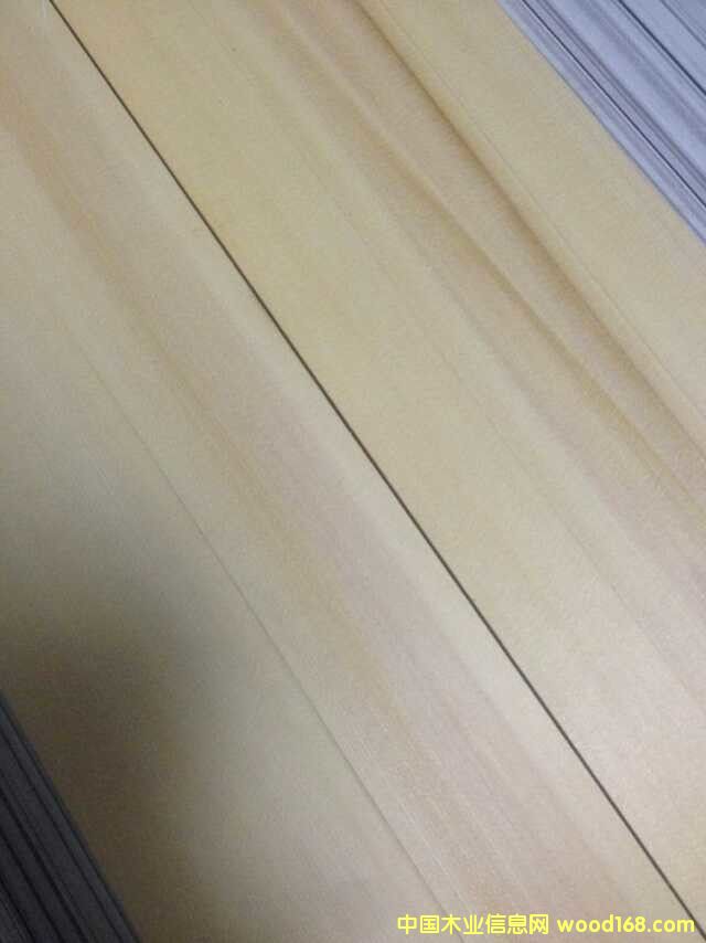 c(din)鿴ôSѩɷŴDƬ