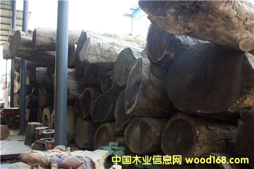黃心楠的詳細介紹