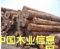松木的詳細(xì)介紹