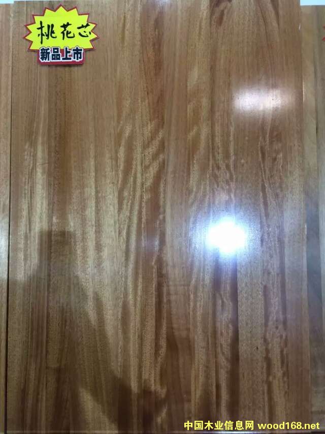 һоֱƴָӰԔ(x)B