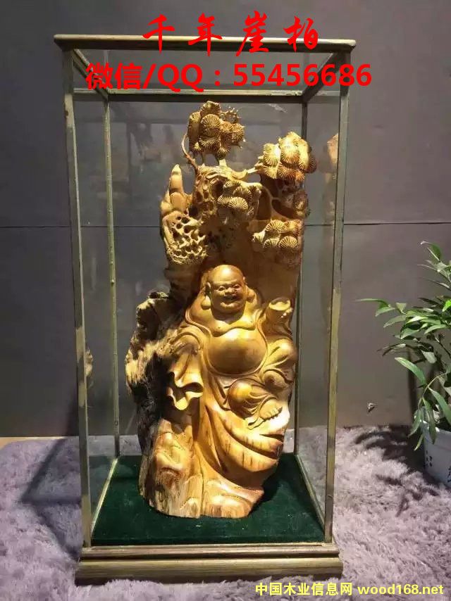 ̫ɽ°ظԔB