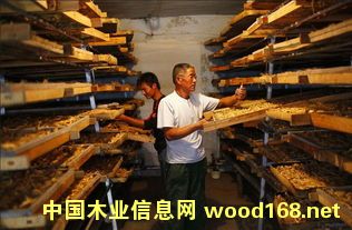 中藥材烘干 中藥材烘干