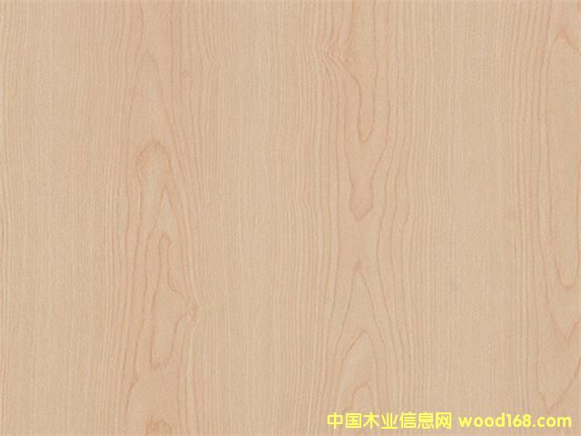 楓木B 楓木B