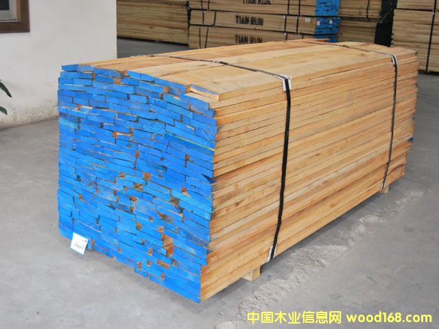 硬楓木 硬楓木