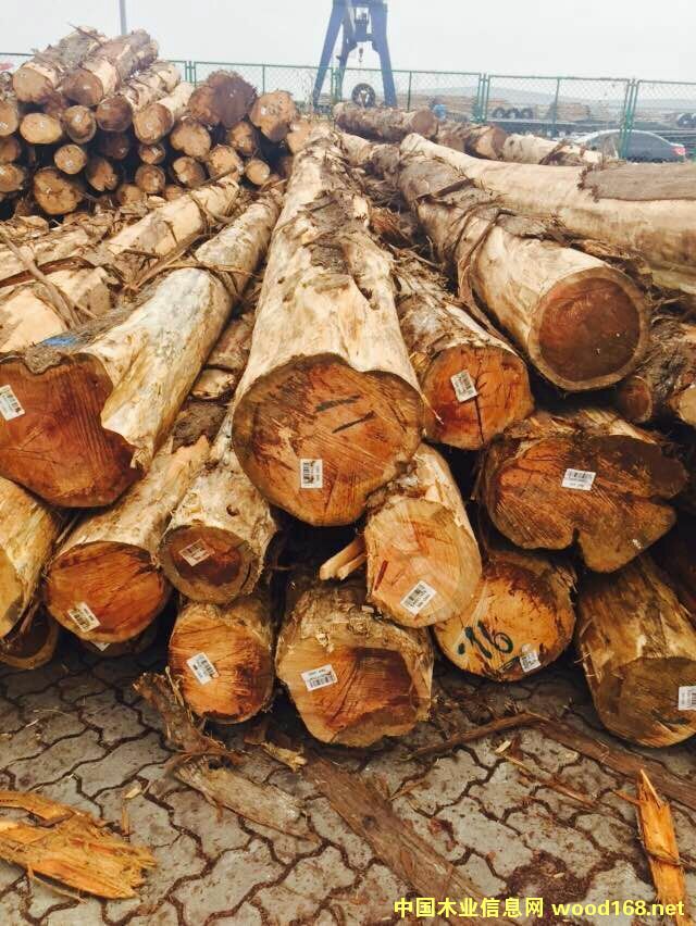 ľԭľ