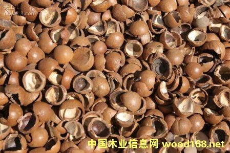 ϤWо3DӡԹ׃?yu)顰ľġ?><br>
                      <font size=3><b>ϤWо3D</b></font></a></div>
                  </td>
                </tr>
                 
                <tr> 
                  
                <td height=