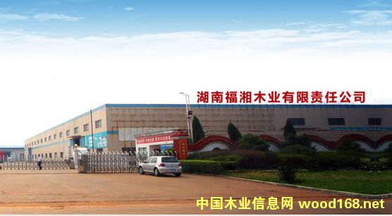 福湘木業(yè)再獲“湖南省板業(yè)十強企業(yè)”榮譽