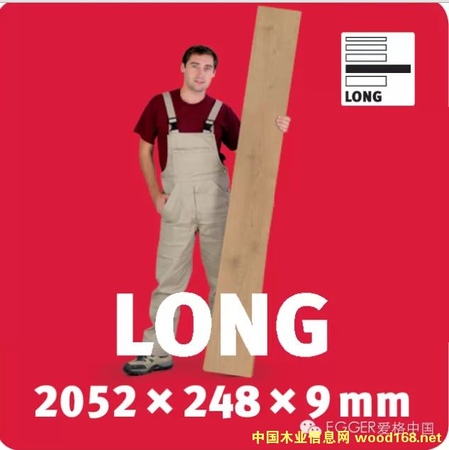 ۸ľذL(zhng)_(d)׵ġL(zhng)ذ