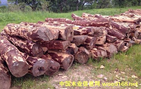 ҸľЈѪ̴؛I(lng)ľƷN