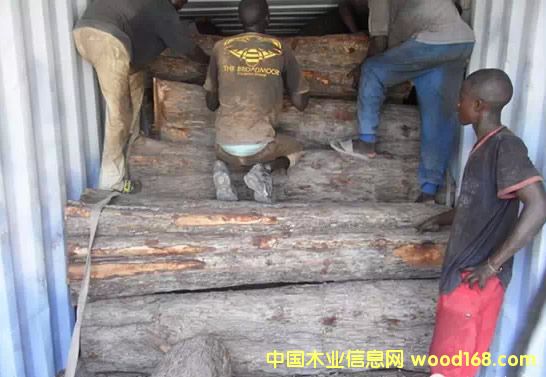 多國宣布禁止紅木出口，2015行情怎么走？