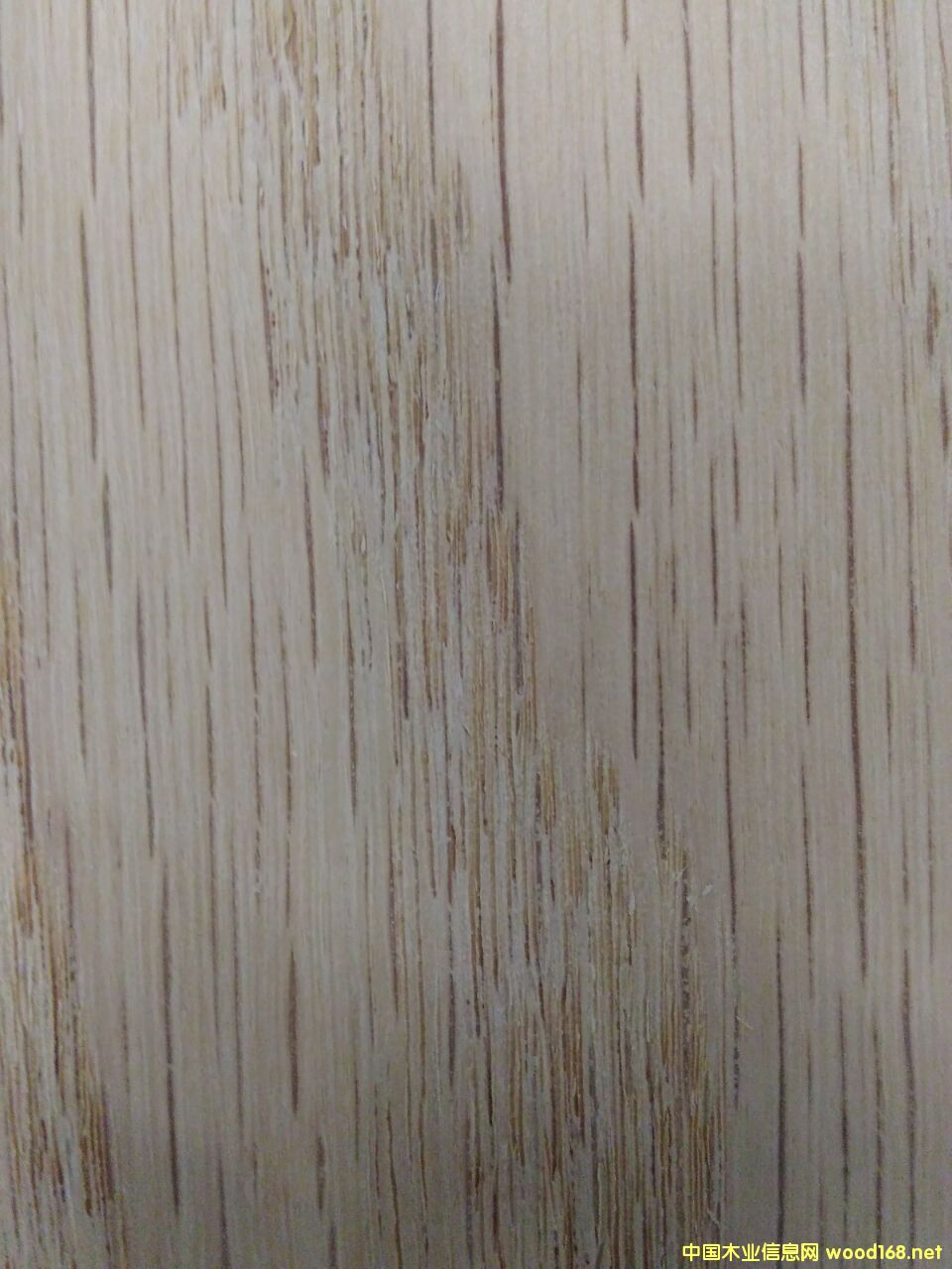 tľԔ(x)B