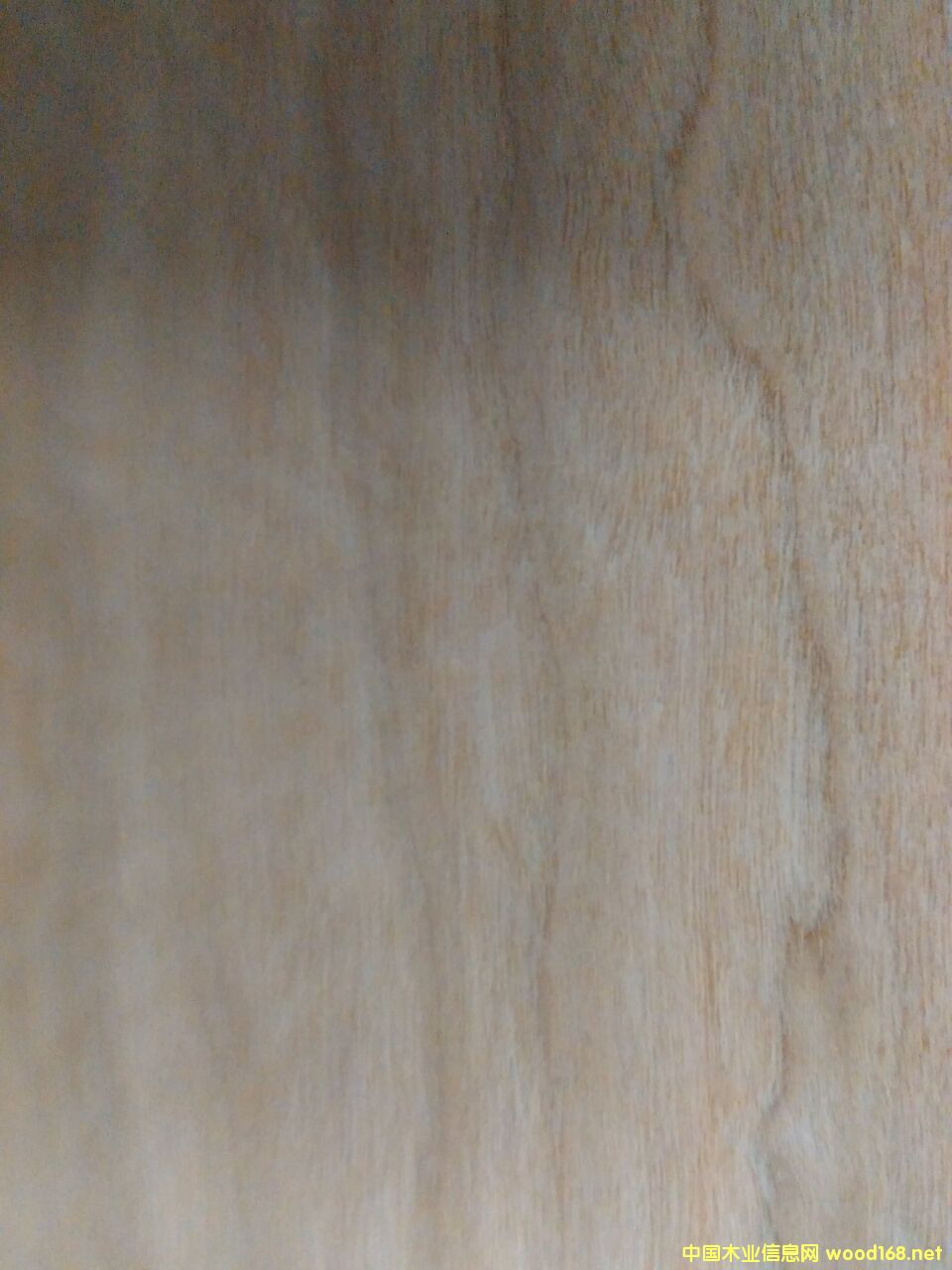 ľԔ(x)B