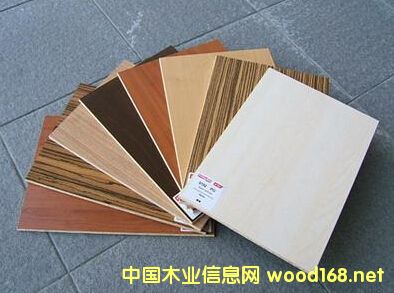 (chung)^12mmp2wS