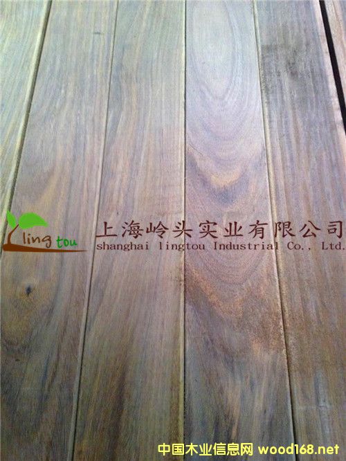 c(din)鿴޲}Ԕ(x)Y