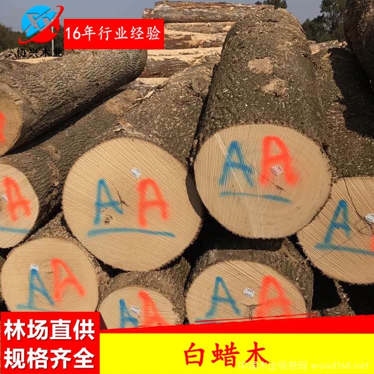 Ϟ?zi)ˮ?  border=