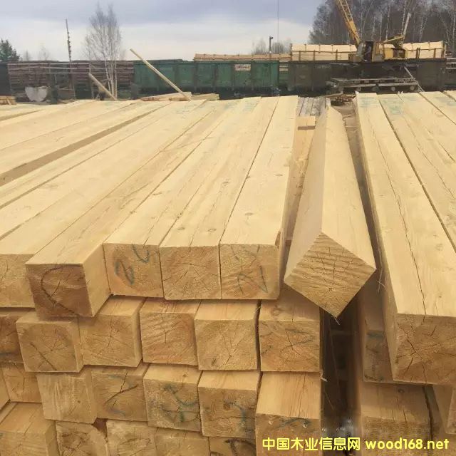 樟子松濕板鋸材(帶鋸) 樟子松濕板鋸材(帶鋸)