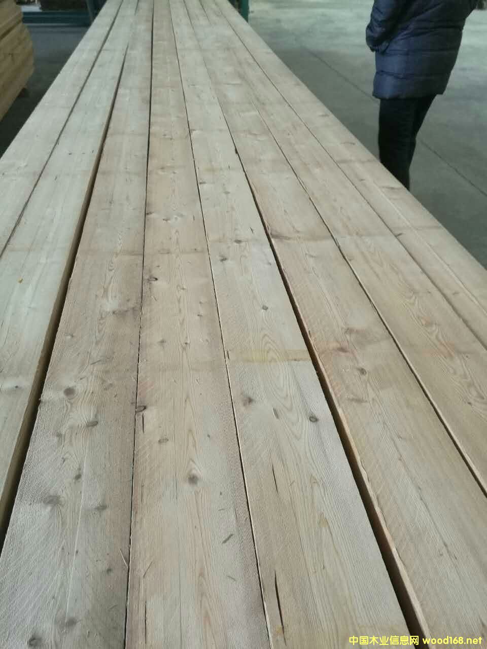 落葉松板材 落葉松板材