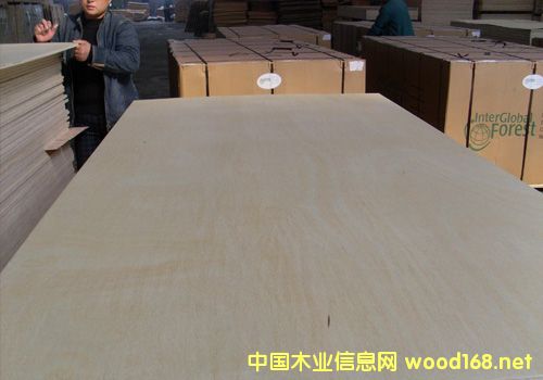 Rʳzϰ峬17|Ԫ ͬL6.7%