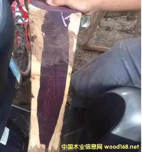 ِS̴:һNð亣Sľ,ƶ_(d)90%