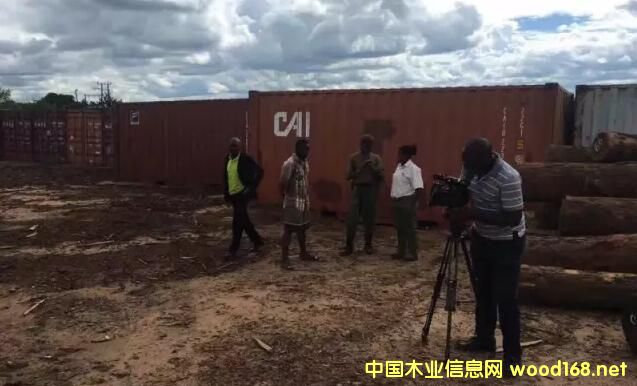 沉貴寶原木（二級黑檀）禁止出口，且買且珍惜