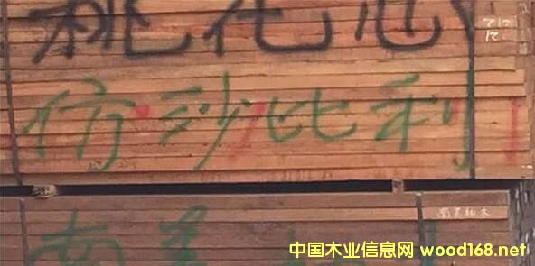 ޲Ј^죺ɳ؛D(zhun)