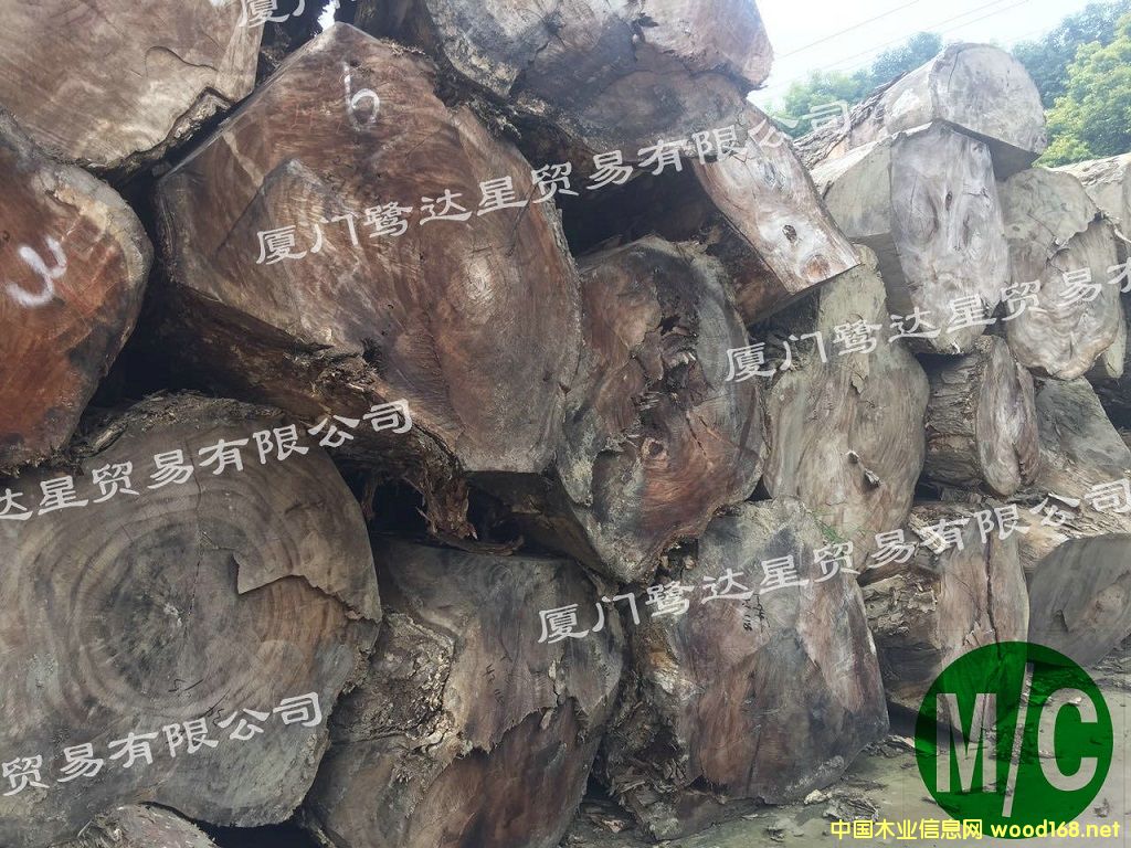 南美胡桃木 南美胡桃木