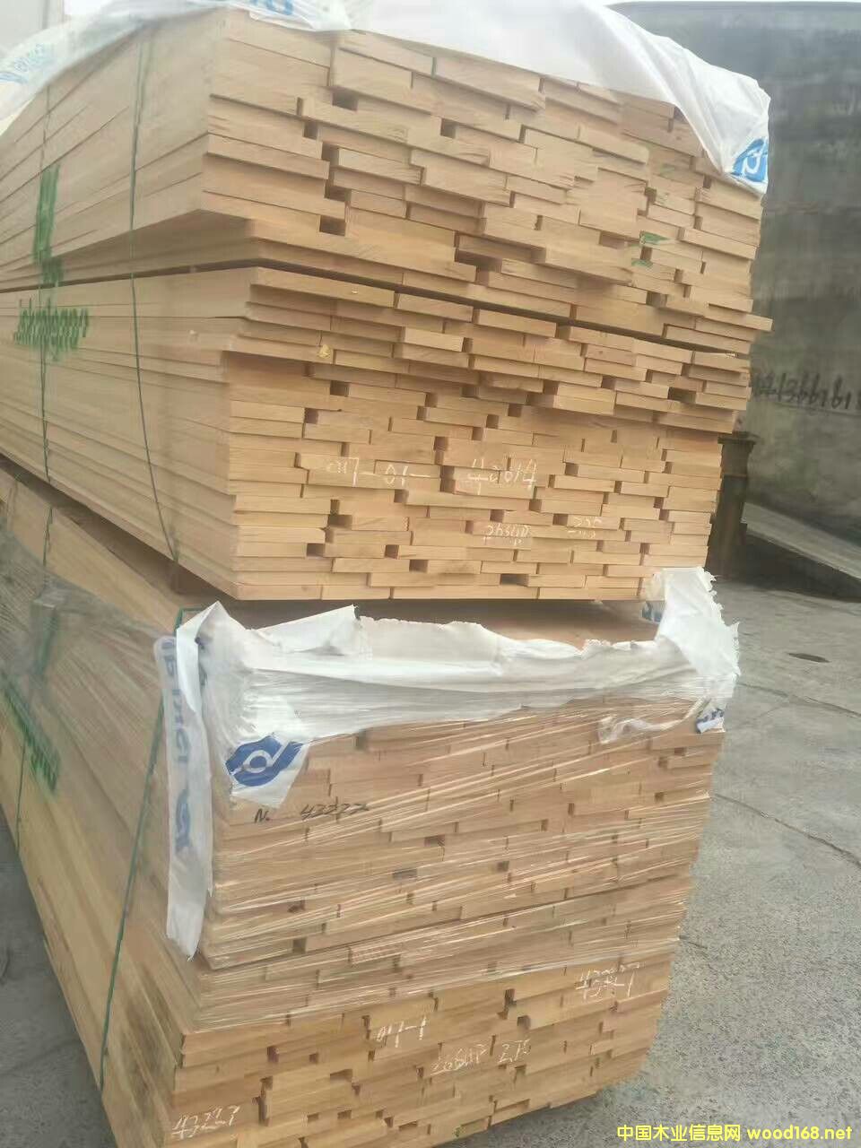 櫸木的詳細(xì)介紹