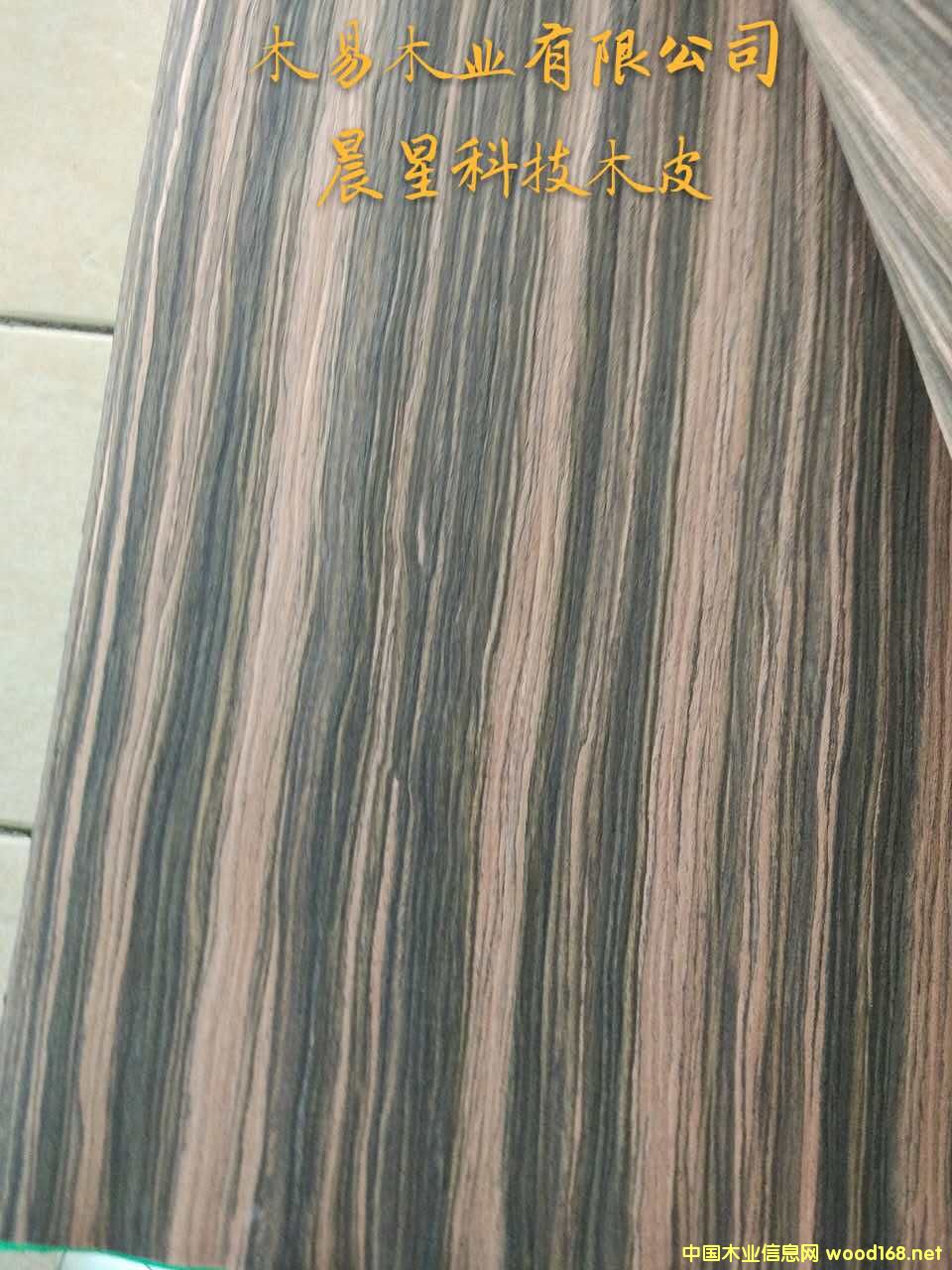 ӡ̴