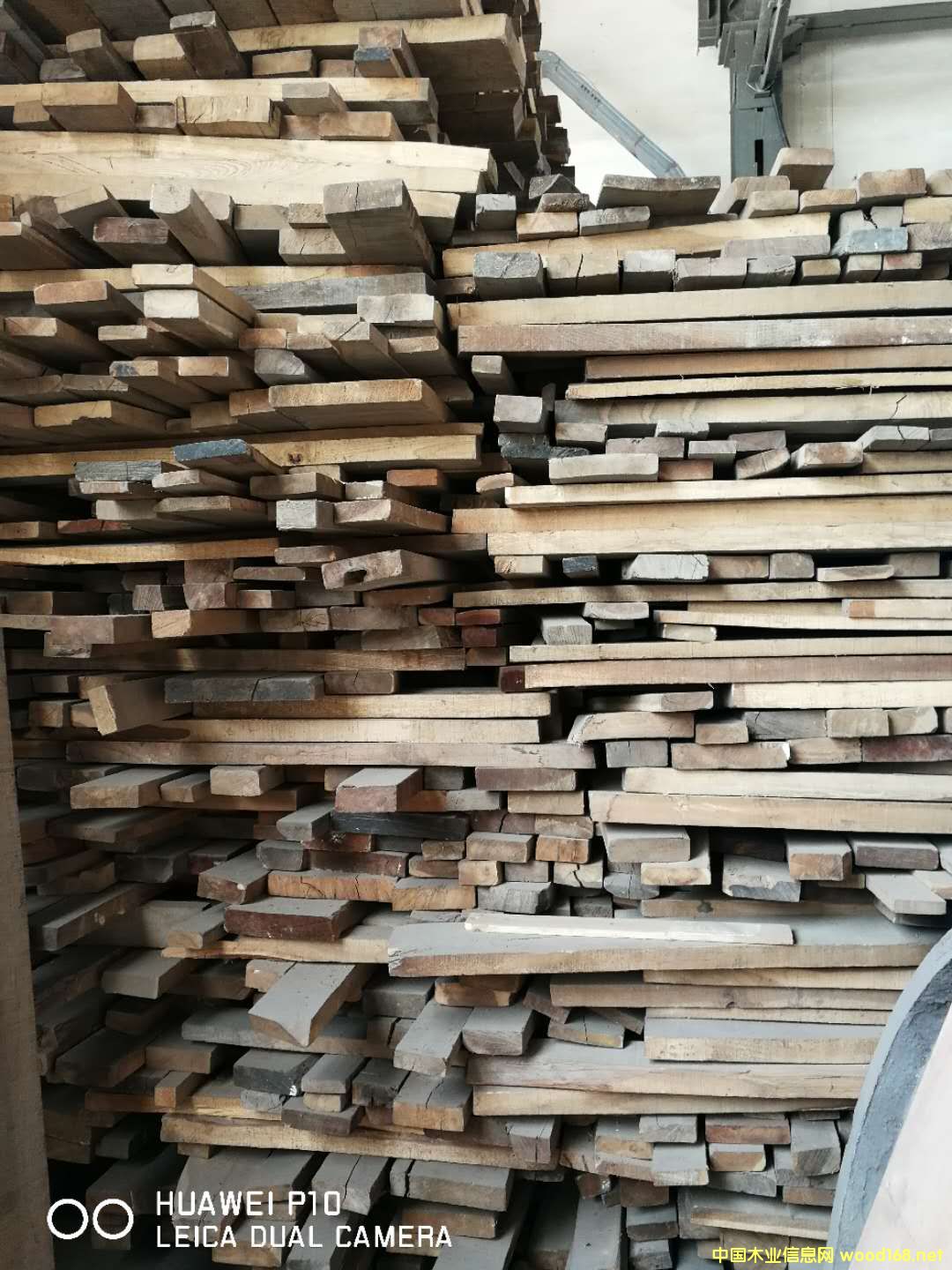 ľ