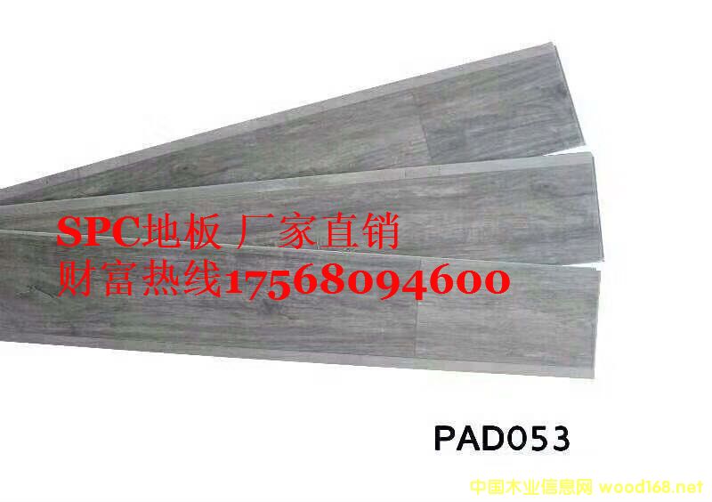 [] SPC h(hun)ذ