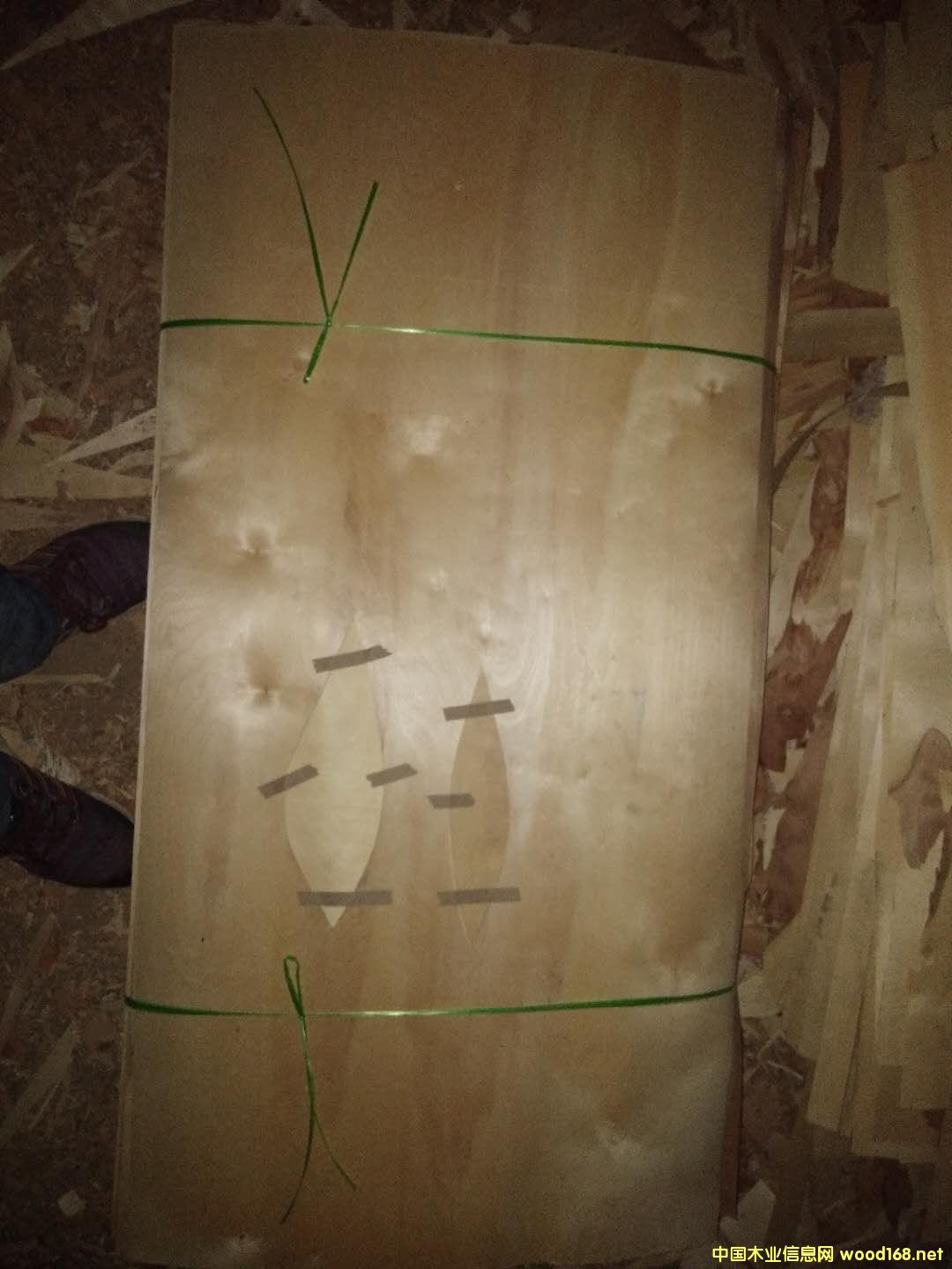 ľľƤ