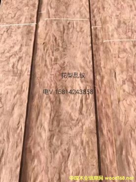 (yu)|(zh)ȻyyľƤ