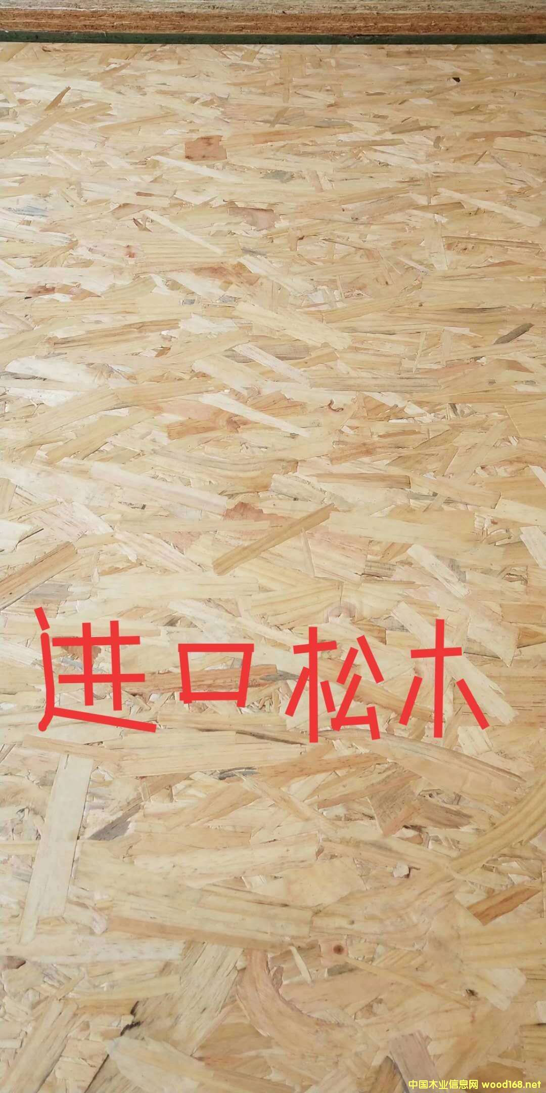 OSBWɰ