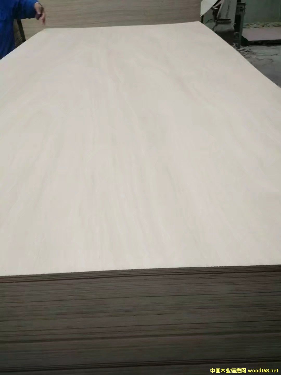 ӼҾ߰