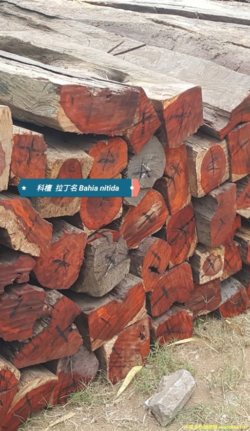 ̴ cam woodԔ(x)B
