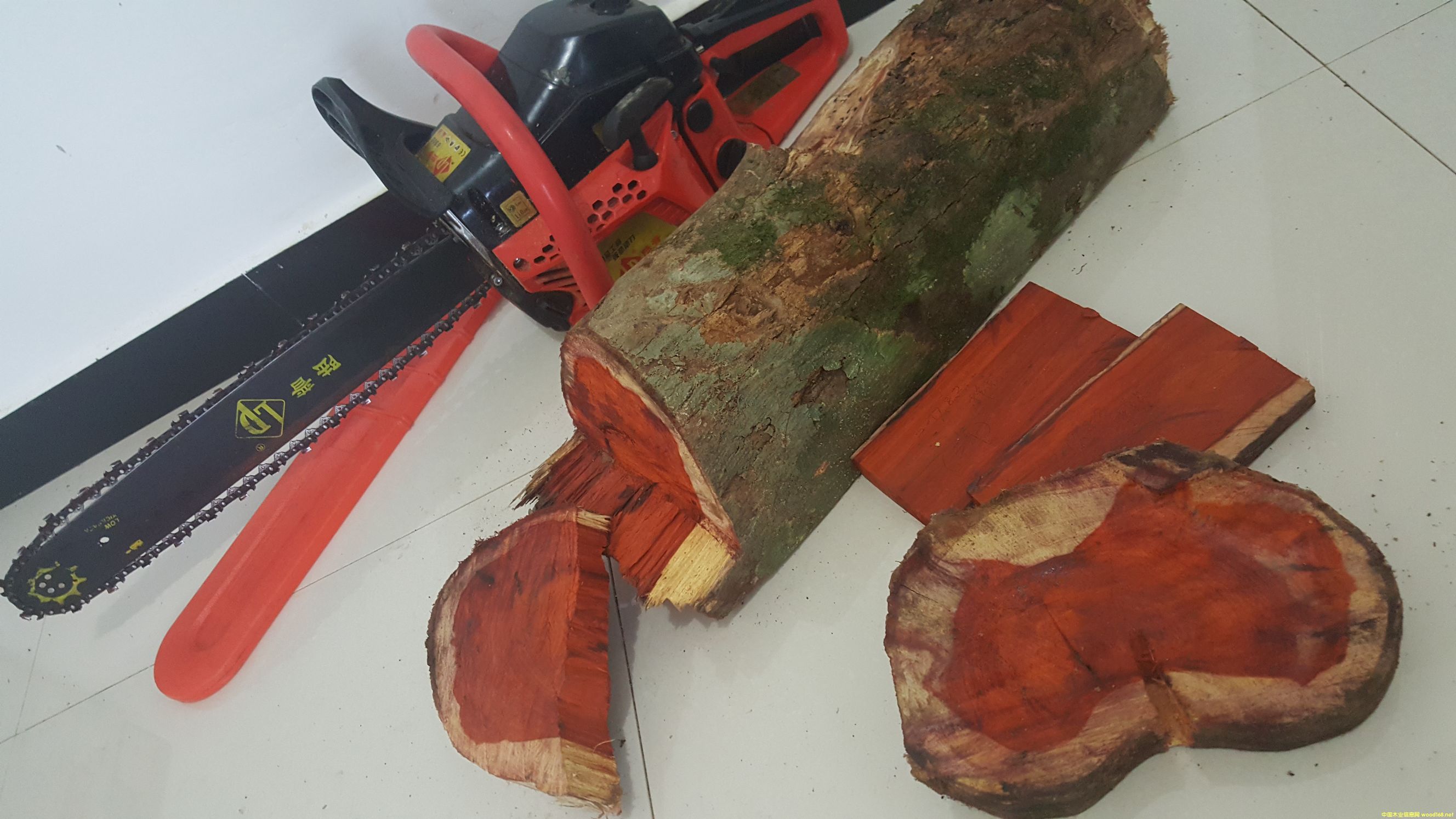 ̴ cam woodԔ(x)B