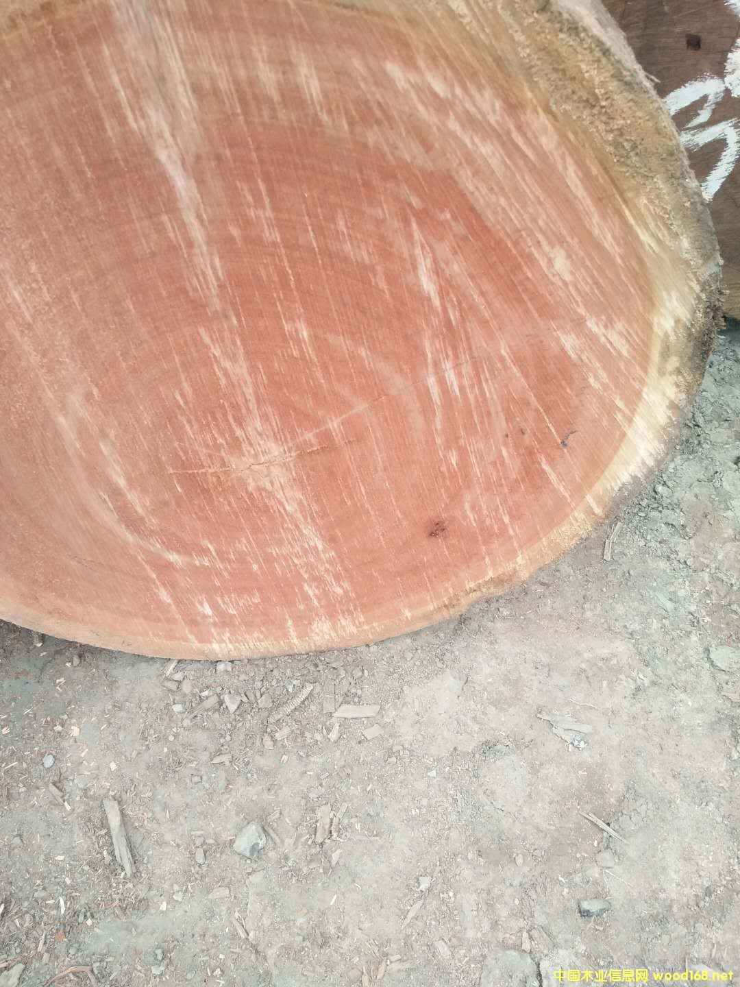 ɳ