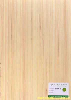 的詳細介紹