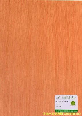 的詳細介紹